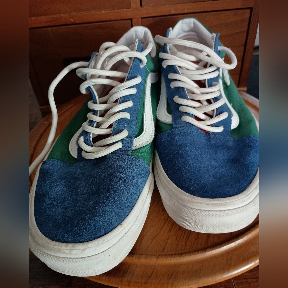 Vans Multicolor Skate Shoes_8 - Picture 3 of 5
